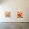 Jan Rauchwerger, LOST FORM, Gordon Gallery. (51)